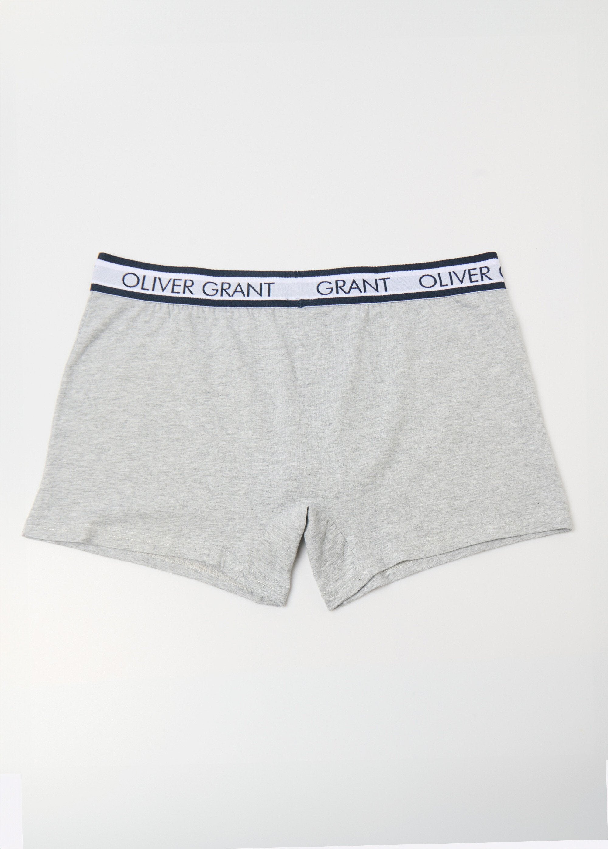 Plain_boxer_shorts_with_logo_waistband_Gray_DO1_slim