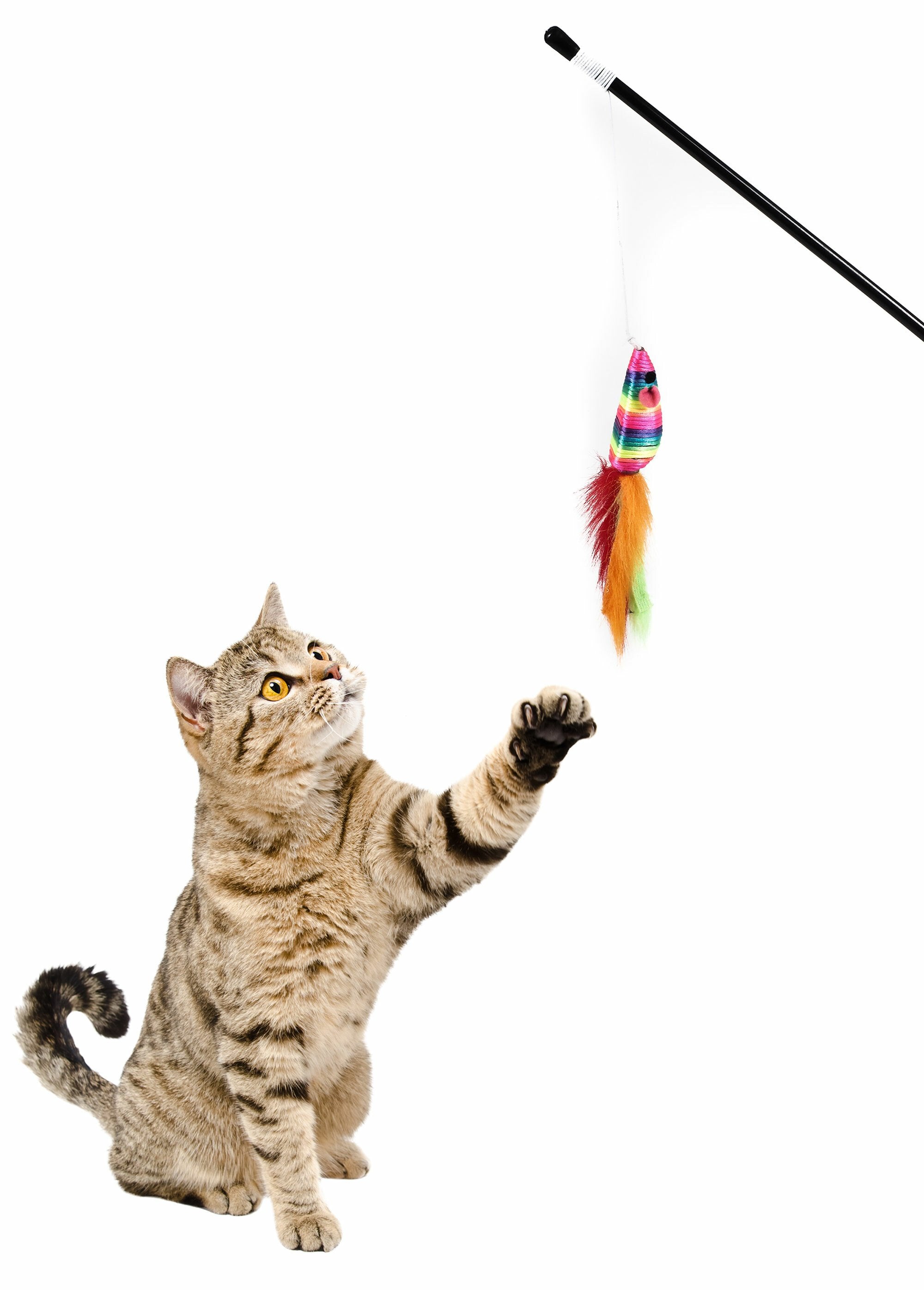 Multicolored_mouse_cane_cat_toy_Orange_DE2_slim