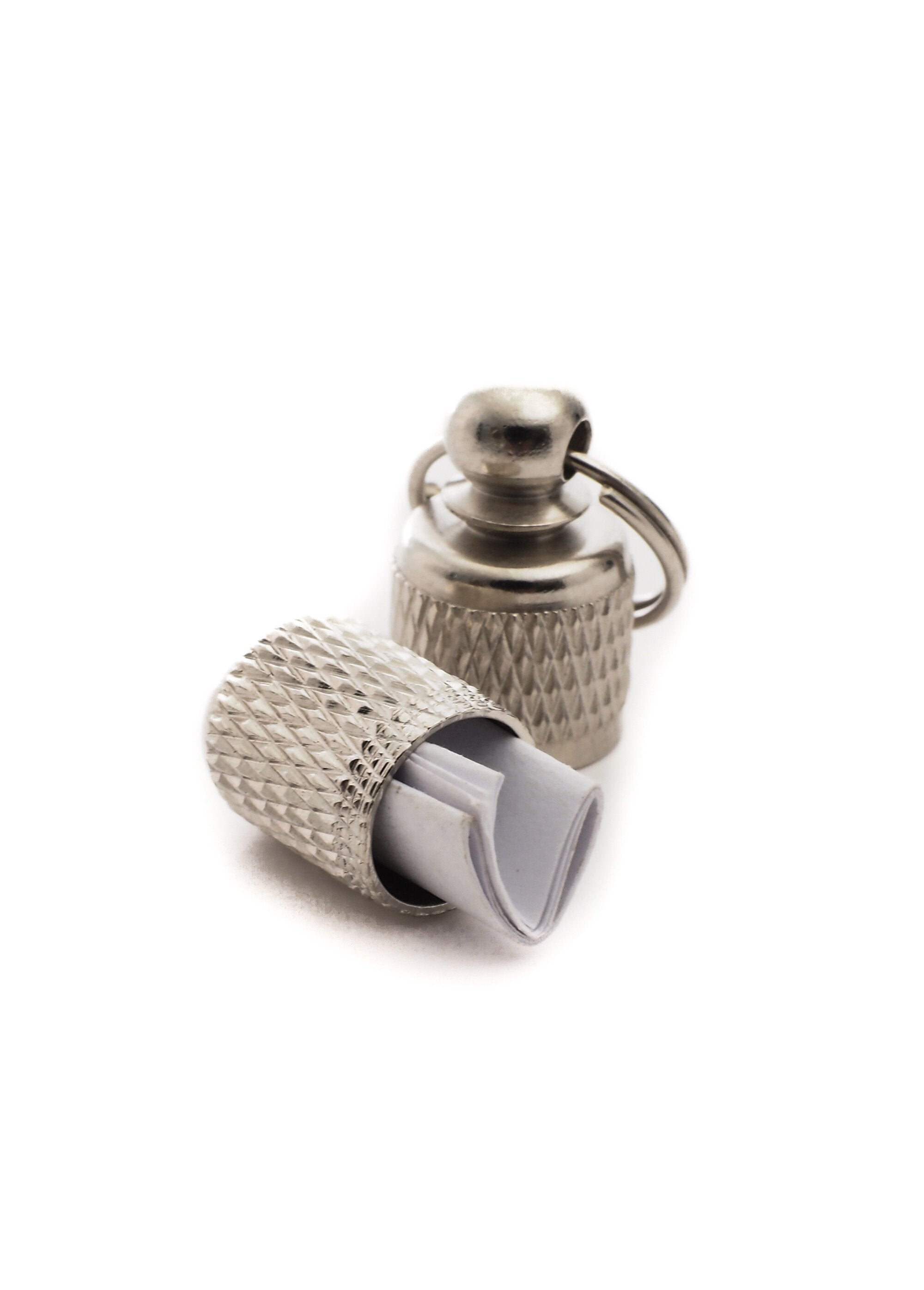 Small_address_medallion_for_animals_Silver_FA1_slim