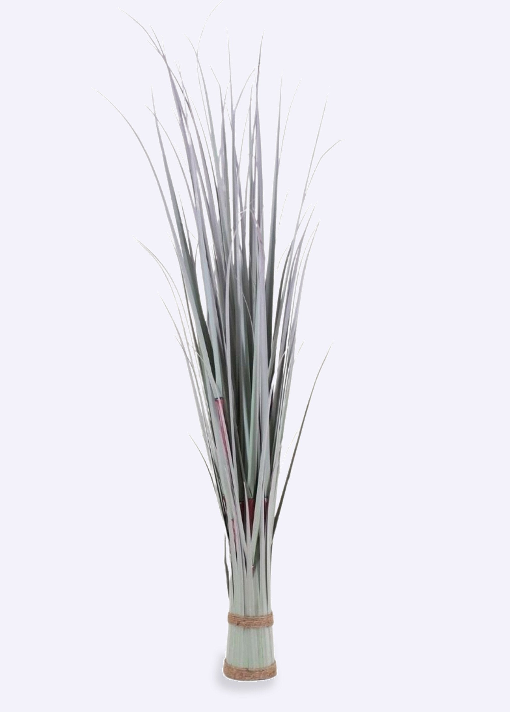 Phormium_artificial_plant_in_the_shape_of_a_bundle_Green_FA1_slim